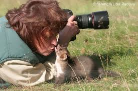 Pin On Awwww