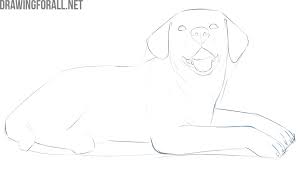 We did not find results for: How To Draw A Lying Dog