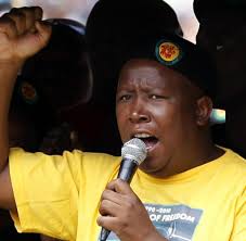Julius malema has caused quite a stir on social media with his inflammatory statements about freedom day, land redistribution and 'previous racial injustices'. Julius Malema Welt
