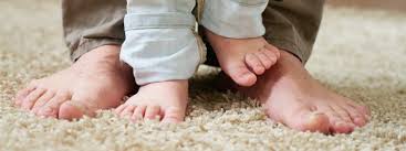 Check spelling or type a new query. Scotchguard Protection Protect Your Professional Carpet Cleaning
