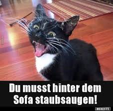 Pin Von Reinhard Raidl Auf Spruche Lustige Tierbilder Mit Spruchen Lustig Lustige Tierbilder