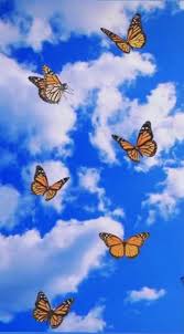 Monarch butterfly aesthetic wallpaper butterfly wallpaper. Fondos Aesthetic Butterfly Wallpaper Iphone Butterfly Wallpaper Blue Wallpaper Iphone