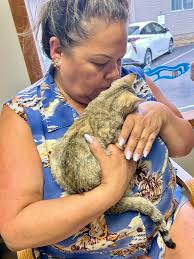 🌟🌟🌟🌟🌟🌟🌟 Great Business , Archway Veterinary Centre My cat went in  today for a procedure, from the time we entered to the time we left , small  issue with surgery , and