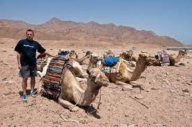 Camels do not store water in their humps. Carry On Camel Scubaverse