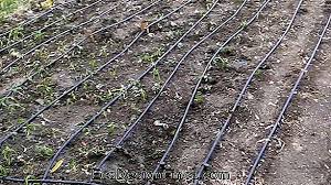 √ i̇çi su dolu ve toprağa hafif gömülü olan küçük pet şişenin üzerine büyük pek şişeyi kapatıyorsunuz ve etrafını hafif toprakla damlama sulama. Damla Sulama Bahcivanlik