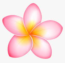 Birds of paradise flowers bird of paradise flower pattern birds of paradise graphic tropical flower cartoon vector bird of paradise pattern birds of paradise pattern bird of paradise flower. Pink Exotic Flower Png Clip Art Pink Tropical Flower Clipart Transparent Png Kindpng