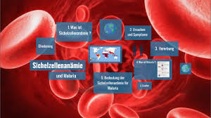 Sie können das finden sichelzellenanämie (sichelzellenanämie) artikel nützlicher oder einer unserer anderen gesundheitsartikel. Sichelzellenanamie Und Malaria By Caroline Schaar