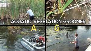 More images for how to get rid of cattails in a pond » How To Kill Cattails How To Get Rid Of Cattails Cattail Removal