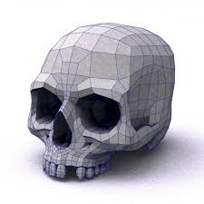 Topology 190 Skull Model Low Poly Illustration Character Design