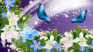 2560x1440 live backgrounds wallpaper wallpapers and screensavers for windows 10 8 7. Summer Flowers Wallpaper Desktop Background Data Free Summer Flowers Desktop 1920x1080 Download Hd Wallpaper Wallpapertip