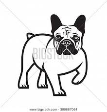 Some bulldogs are quite small weighing less than 25 lbs, however, dogs in this breed on average, weigh 28 lbs. French Bulldog Vector Photo Free Trial Bigstock