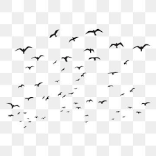 Birds Flying In The Sky Png Free Download Birds Png Images Painted Traditional Chinese Painting Peacock Vector Arts Ps In 2020 Flying Bird Silhouette Silhouette Illustration Bird Silhouette