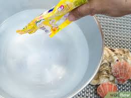 The state legislature has also funded brush control feasibility studies to be carried out on eight additional watersheds. How To Clean And Polish Seashells 12 Steps With Pictures