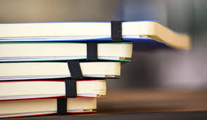 Ffm Mammalogy Publications Senckenberg Gesellschaft Fur Naturforschung