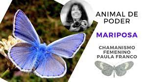 Pin En Animales De Poder