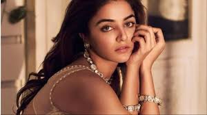 Salman Khan To Shoot For Cameo In Varun Dhawan's Baby John From October 1st  Week; Atlee Confirms It Is Inspired By Thalapathy Vijay's Theri BUT With A  Twist