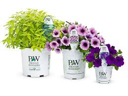 We did not find results for: Get An Early Taste Of Spring With Proven Winners Spring 2021 Preview Perishable News