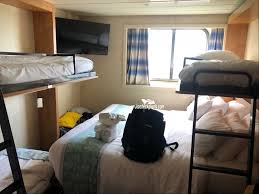 Maybe you would like to learn more about one of these? Carnival Elation Oceanview Stateroom Details