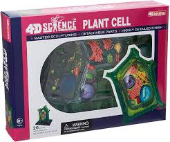 3d plant cell model easy. Amazon Com Famemaster 4d Science Plant Cell Anatomy Model Toys Games