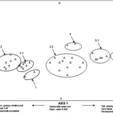 Image result for Asterochaete angustissima