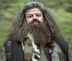 Robbie Coltrane, l'acteur qui incarnait Hagrid dans 