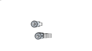 Image result for Roldana