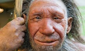 The real Neanderthal diet: Researchers shed new light