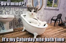 Lol but i hope you like this meme animation i did, i cant stop watching it cuz its so funny hopefully you. Lolcats Caturday Lol At Funny Cat Memes Funny Cat Pictures With Words On Them Lol Cat Memes Funny Cats Funny Cat Pictures With Words On