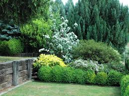 Homeadvisor's landscaping installation cost guide gives average prices to install plants, hardscapes & more. Hedging Screen Jpg 1000 750 Privacy Landscaping Privacy Plants Garden Privacy Ideas Plants