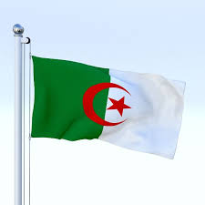 Animated Algeria Flag In 2020 Algeria Flag Flag Animation