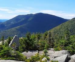 Image result for Blue Rock Green 1934 Fleet