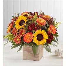 Maybe you would like to learn more about one of these? Tucson Az Same Day Same Day Flower Delivery Delivery Send A Gift Today Roses More