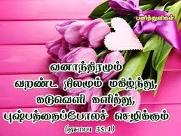 Pin On பன த த ள கள Tamil Bible Verse