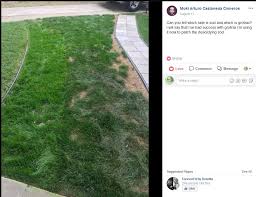 I have been watering it. Grotrax Grotraxgrass Twitter