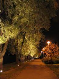 Premium Quality Led Lights Gel Usa Com Outdoor Landscape Lighting Landscape Lighting Exterior Lighting Design