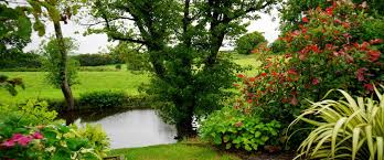 Services By All Landscaping Maintenance Salem Oregon All Yard Care Services Willamette Valley Oregon