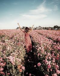 Pin By Lauren Marie On Florals Flower Field Spring Aesthetic Flower Feild