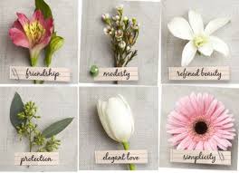 Some flowers that mean love also represent friendship, loyalty and appreciation. Meanings Of Flowers And Herbs For Tussie Mussies Flower Meanings Language Of Flowers Flower Guide