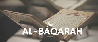 And spend in the cause of allah (i.e. Apa Makna Dari Surat Surat Al Baqarah Ayat 195 Muslim Dictio Community