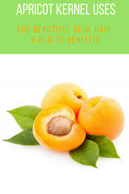 Apricot kernel oil is often used in hair care routines to promote moisture and stop rapid hair loss. Apricot Kernel Oil Uses For Beautiful Skin Mom Prepares