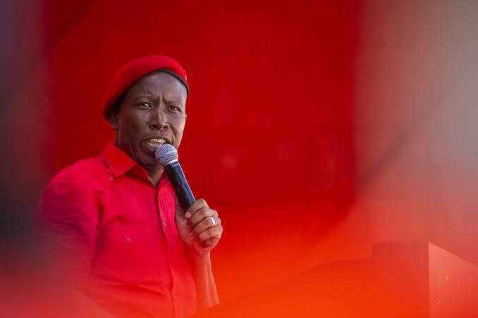 Malema loses bid to overturn apartheid-era law - Moneyweb