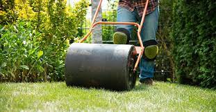 Wenn sie ihren rasen walzen möchten, sollten sie am besten wie folgt vorgehen: Die 3 Besten Rasenwalzen 2021 Im Test Garten Schule