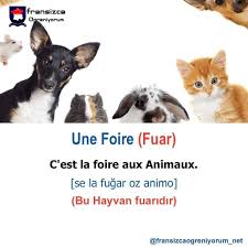 Fransizca Ogreniyoruz Une Foire Fuar Fransizca Fransizcaogreniyorum Fransizcaogreniyorum Fransizcabolumu Fransizcabilmiyor 2020 Hayvan Fransizca Turkce