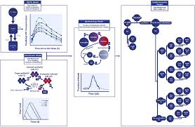 Peregrine has asked xvivo scientific animation to help them depict bavituximab, an investigational cancer treatment that helps the body recognize and fight. Blueprint For Pandemic Response Focus On Translational Medicine Clinical Pharmacology And Pharmacometrics Davda British Journal Of Clinical Pharmacology Wiley Online Library