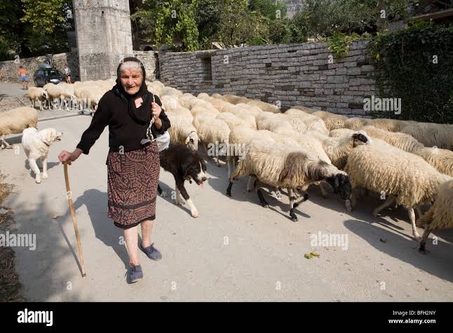 Shepherd and robertson hi-res stock photography and images - Alamy