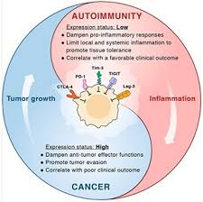 Image result for Autoimmunity