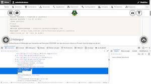 French guiana (guyane française) +594. How To Make The Address Code On One Line With Twig Stack Overflow