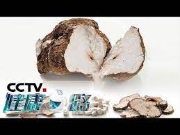 健康之路 植物全身都是宝 四 除湿神器茯苓该如何用20190722 cctv科教 youtube in 2020 healthy