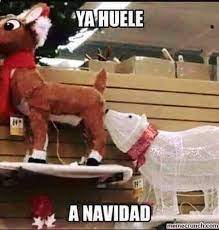 Imagenes De Humor Memes Chistes Chistesmalos Imagenesgraciosas Humor Www Megamemeces C Memes Graciosos Memes Divertidos Memes Chistosisimos