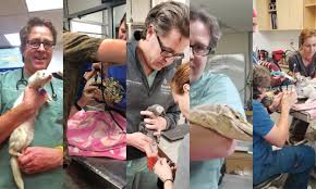 We offer personalized, high qua. Exotic Animal Vets What They Do How They Re Trained